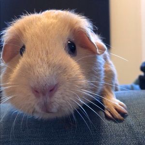 Meet your Posher, Katie